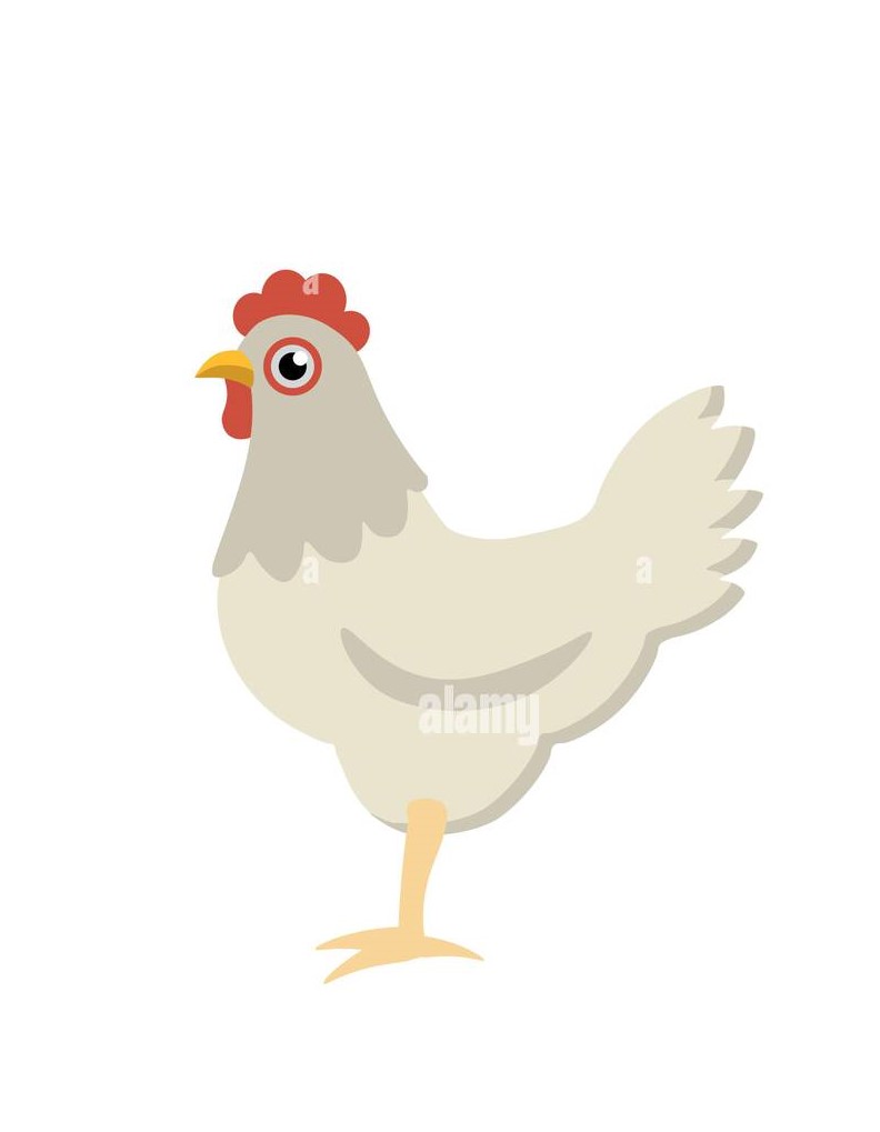 hen